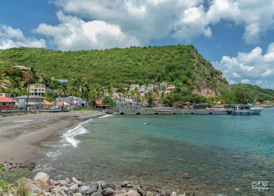 Au Coeur D'Un Village De Pecheurs Sur La Caraibe ベルフォンテーヌ  エクステリア 写真